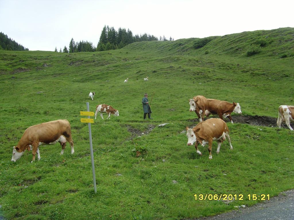 Feriendorf Ponyhof Fusch an der Grossglocknerstrasse Exterior foto